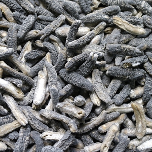 斐济.斯里兰卡.非洲明秃参,海参干参非辽参滋补500g