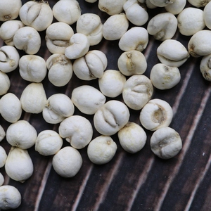 白色种植川贝0.5cm500g中药材正品川贝可打粉做枇杷膏贝