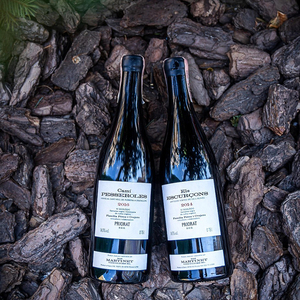 mas martinet cami priorat 玛斯玛尔蒂内卡米普雷塞洛尔红葡萄酒