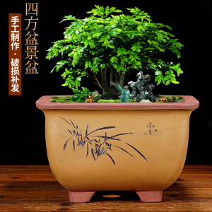 紫砂兰花花盆四方盆 精品绿植多肉盆景盆栽兰草君子兰文竹吊兰盆