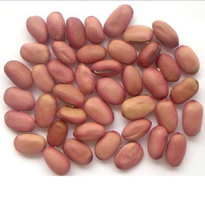 中药材 刀豆子 红刀豆 刀豆种子 魔豆500克包邮 有白刀豆,黑刀豆