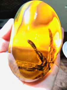 八金阁缅甸天然琥珀植物珀开枝散叶摆件绿茶体亿万年前的植物精华