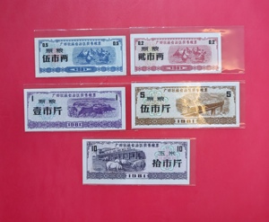1981年广西壮族自治区粮食局设计奖售粮票原粮4全玉米一全共五全