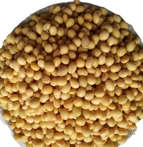 买5斤送1斤 广西巴马寿乡特产小黄豆 农家豆浆伴侣 五谷杂粮 500g