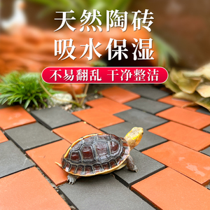 九五名龟黄缘龟专用造景砖黄缘乌龟垫材半水龟缸龟箱装饰小青砖