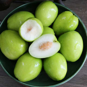 新鲜青枣现摘牛奶枣正宗冬枣整箱包邮时令水果脆甜小核坏果包赔