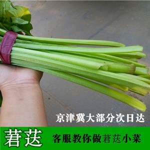 新鲜君达菜莙荙菜莙荙梗军的菜牛皮菜君的菜莙的河北四川特色菜