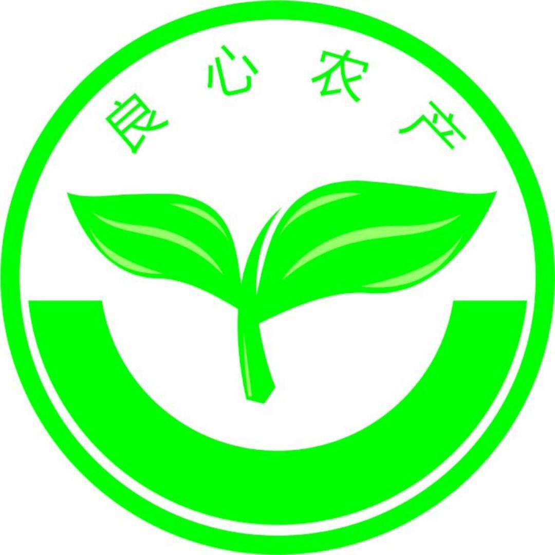 山西大黄米农家糯小米粮食粘豆包年糕粽子小米粥糯黏粘黄米黍子米