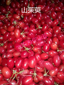 山茱萸 山萸肉精选无核山枣皮食用泡茶产品500克包邮