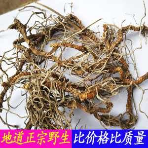 入地蜈蚣倒地蜈蚣蜈蚣草倒麒麟过路蜈蚣过路鹅江七叶一枝枪500克