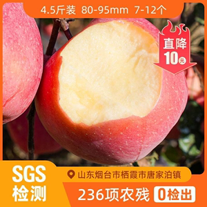 辰颐物语新鲜山东栖霞红富士苹果4.5斤烟台脆甜大果包邮