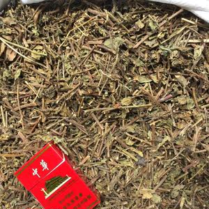 中草药猫须草