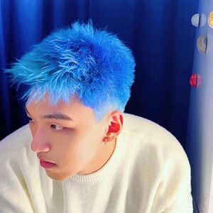 00袜袜袜而生淘宝染发膏男生专用鸢尾蓝黑雾霾蓝染发剂男士显白发色