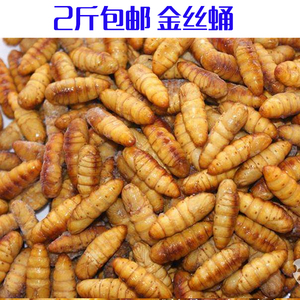 2021年新货农家桑蚕蛹冷冻新鲜小蚕蛹一级蚕蛹金丝蛹满2斤包邮