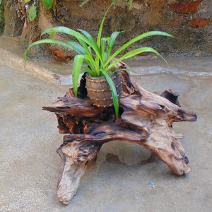 老树根花盆