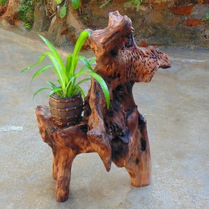 多肉老树桩花盆原木树根腐木枯木朽木石斛烂木头创意家居装饰摆件