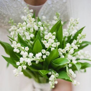 荷兰进口铃兰盆栽5个芽 阳台多年生观花植物手捧花白色铃兰花苗