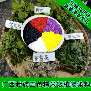 广西特产五色糯米饭植物染料染饭花密蒙花黄饭花红蓝草紫蓝草枫叶