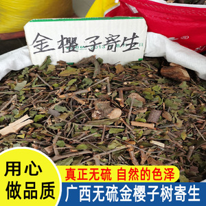 广西金樱子树寄生 刺梨子寄生 切段干品 500克包邮