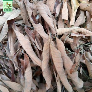 野生无污染干龙眼叶龟缸装饰躲避造景调节酸碱仿野生态250克包邮