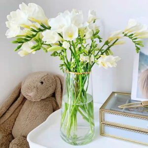 小苍兰花瓶玻璃透明香雪兰剑兰洋兰鲜花花器客厅插花摆件高级感