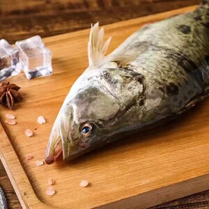 抚远鳌花鱼乌苏里江黑龙江特产活鱼新鲜速冻鳌花鱼送礼整条淡水鱼