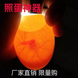 鹦鹉照蛋器孵化专用