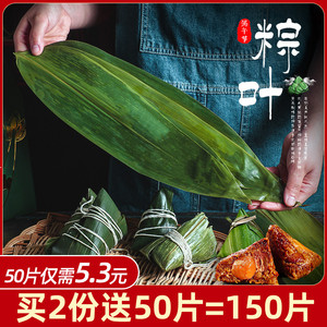 端午节粽子野生新鲜粽子叶100片 真空装野生粽叶竹叶箬叶烘焙原料