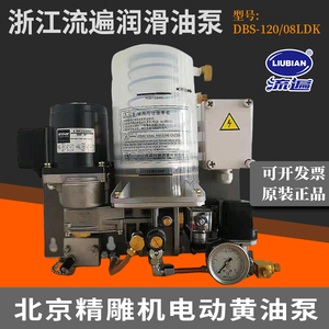流遍/河谷电动预压式油脂润滑泵北京精雕机220V/DBS-J20/08黄油泵
