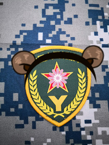 退役正品老式预备役臂章96预备役臂章军迷收藏品y字袖标徽章布标