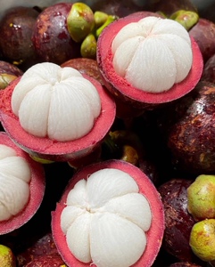 山竹新鲜水果海南