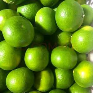 宜昌蜜桔早熟青皮桔子10斤酸爽新鲜无籽橘子现摘现发当季孕妇水果