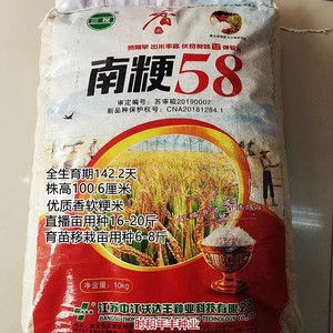 南粳58水稻种子粳稻种子高产中早熟圆粒软香米种籽农家大田水稻种