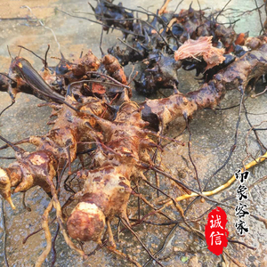 野生菝葜中药材金刚刺拔葜新鲜金刚藤中药金刚头铁菱角500克 干品