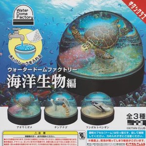 现货 奇谭KITAN 可注水海洋生物雪花水晶球扭蛋 海龟 企鹅 花园鳗