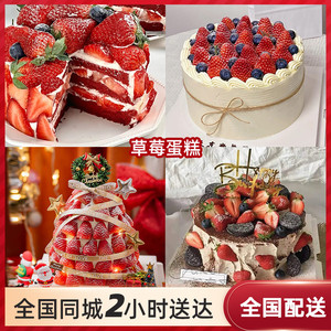 男女儿童圣诞水果草莓塔生日蛋糕同城配送北京上海深圳杭州全国