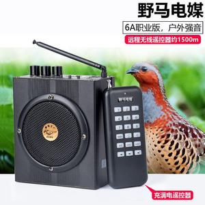 正品野马6a电媒机扩音器无线遥控电煤竹鸡电媒野鸡电媒扩音机电煤
