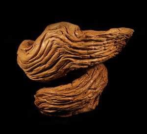 胡杨木,精品摆件,漩涡形状,独此一件