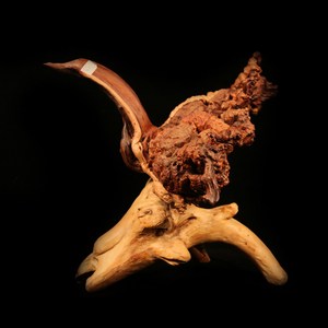 胡杨木根雕摆件