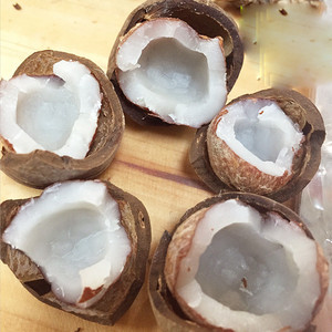 非洲海椰皇500克进口海耶王海底椰子非印度椰子500g 非印度椰子