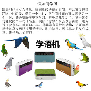 鸟用录音机鹦鹉学舌学语机八哥鹩哥复读机练习录音学说话教讲话
