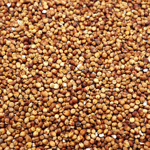 带壳红高粱 高粱米鹦鹉鸟食仓鼠零食/鸽饲料 五件包邮