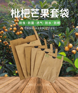 枇杷套袋专用袋套树上的牛皮纸袋防鸟防虫枇杷袋子果树水果套袋