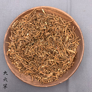 冷背中草药材大火草根正品新货白地紫菀野生山棉花500克包邮