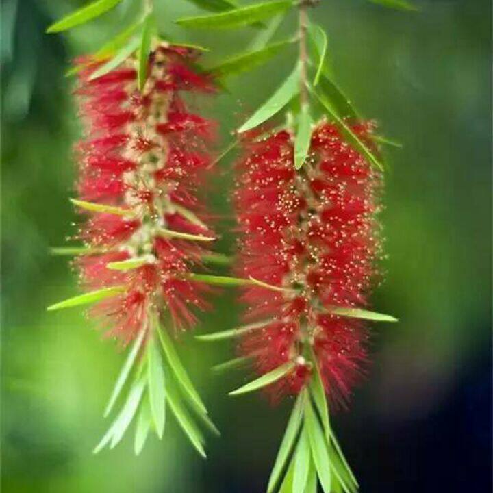 服装鞋包名流店