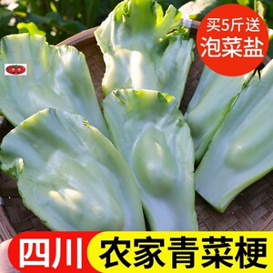 四川青菜梗菜帮青菜柄新鲜蔬菜脆嫩泡菜用现摘青菜头5斤送泡菜盐