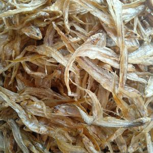 001人付款淘宝2021新品微山湖毛刀鱼正宗山东特产淡水新货干巴鱼凤尾