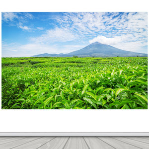 茶叶茶山绿色山水贴画蓝天白云自然风景画客厅沙发背景装饰贴纸画