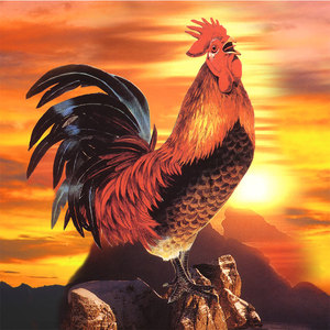 报晓图自粘贴画招财金鸡图画芯定制打印打鸣公鸡万人迷画艺88717