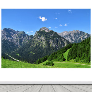 蓝天白云森林草高山风景画办公室招财靠山图客厅房间背景墙装饰画